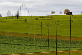 爱游戏体育APP下载-球员体能负荷评估工具上线助力教练科学制定训练计划，体育负荷强度